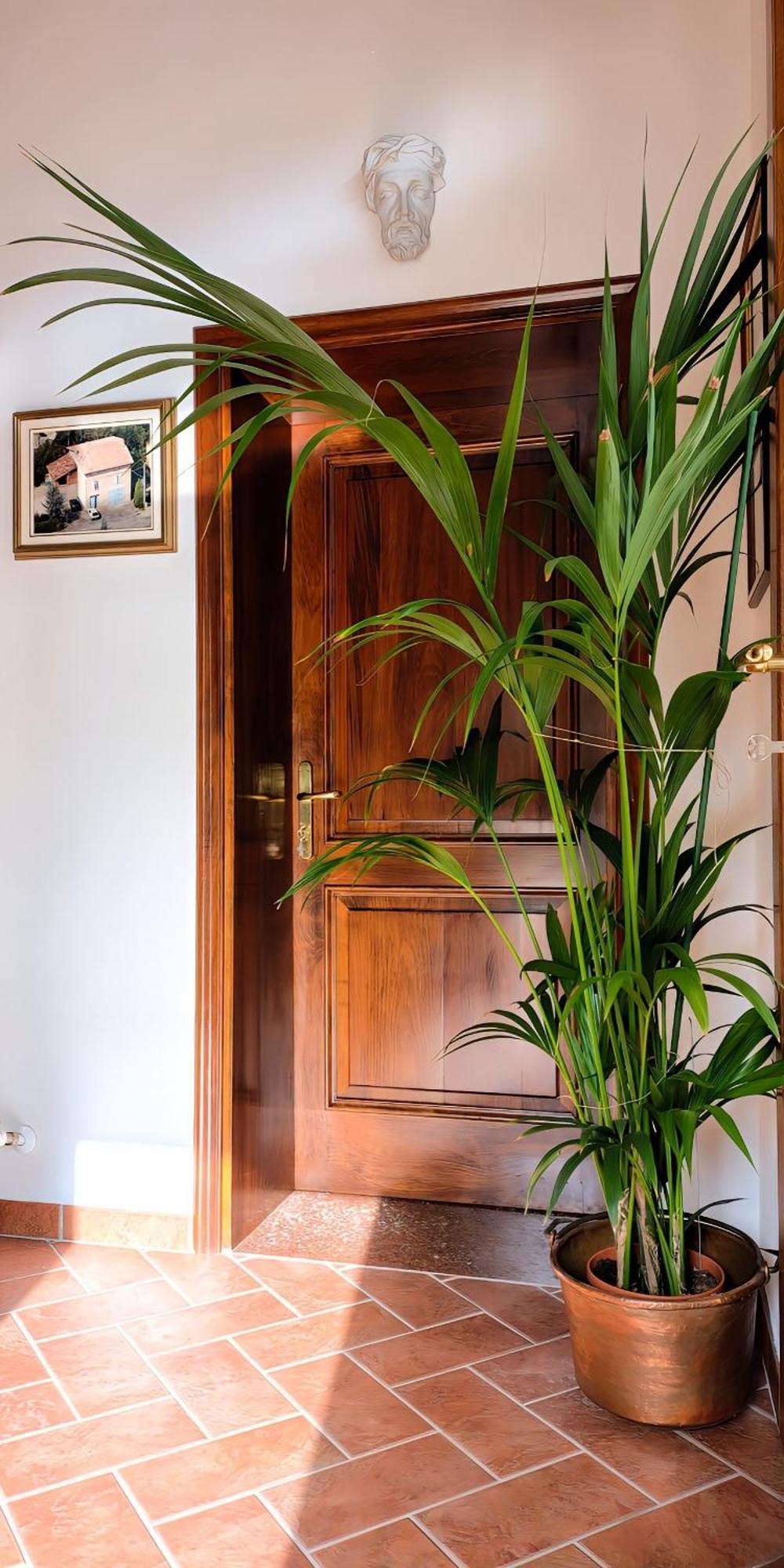 Casa Due Marie Marano Sul Panaro Hotell Exteriör bild